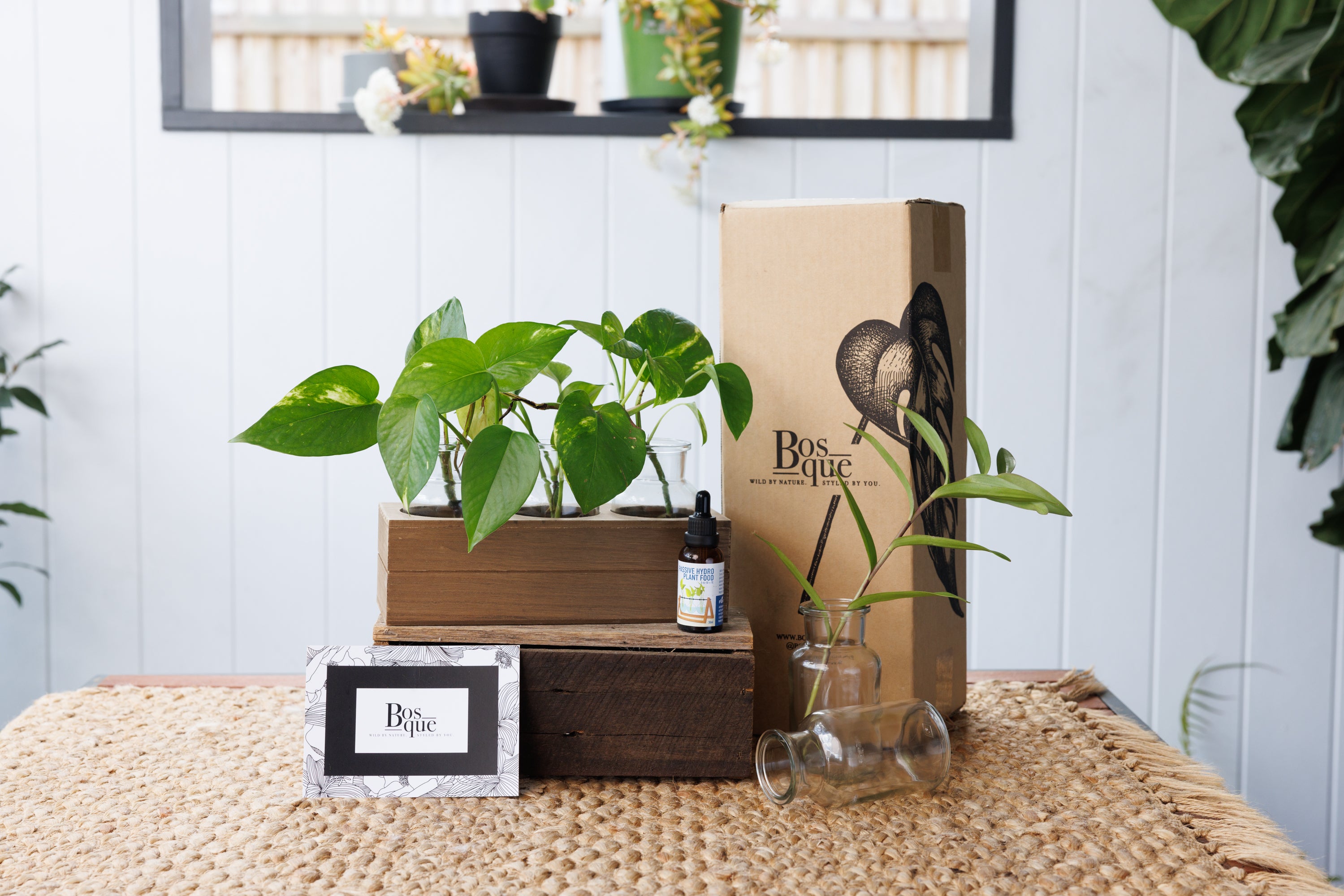 Propagation Station - Botanical Beakers - Bosque