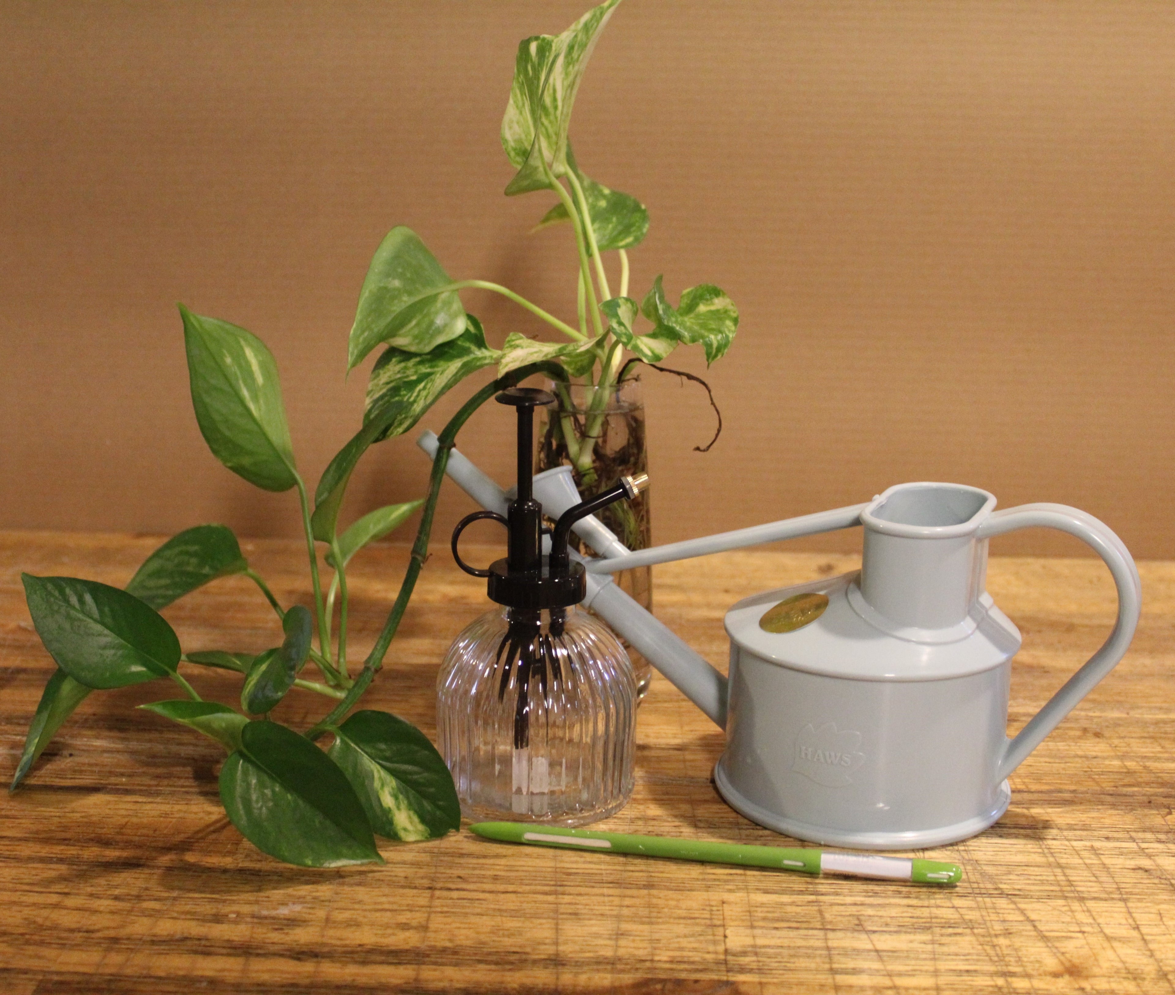 Watering Can & Mist Sprayer Combo - Bosque