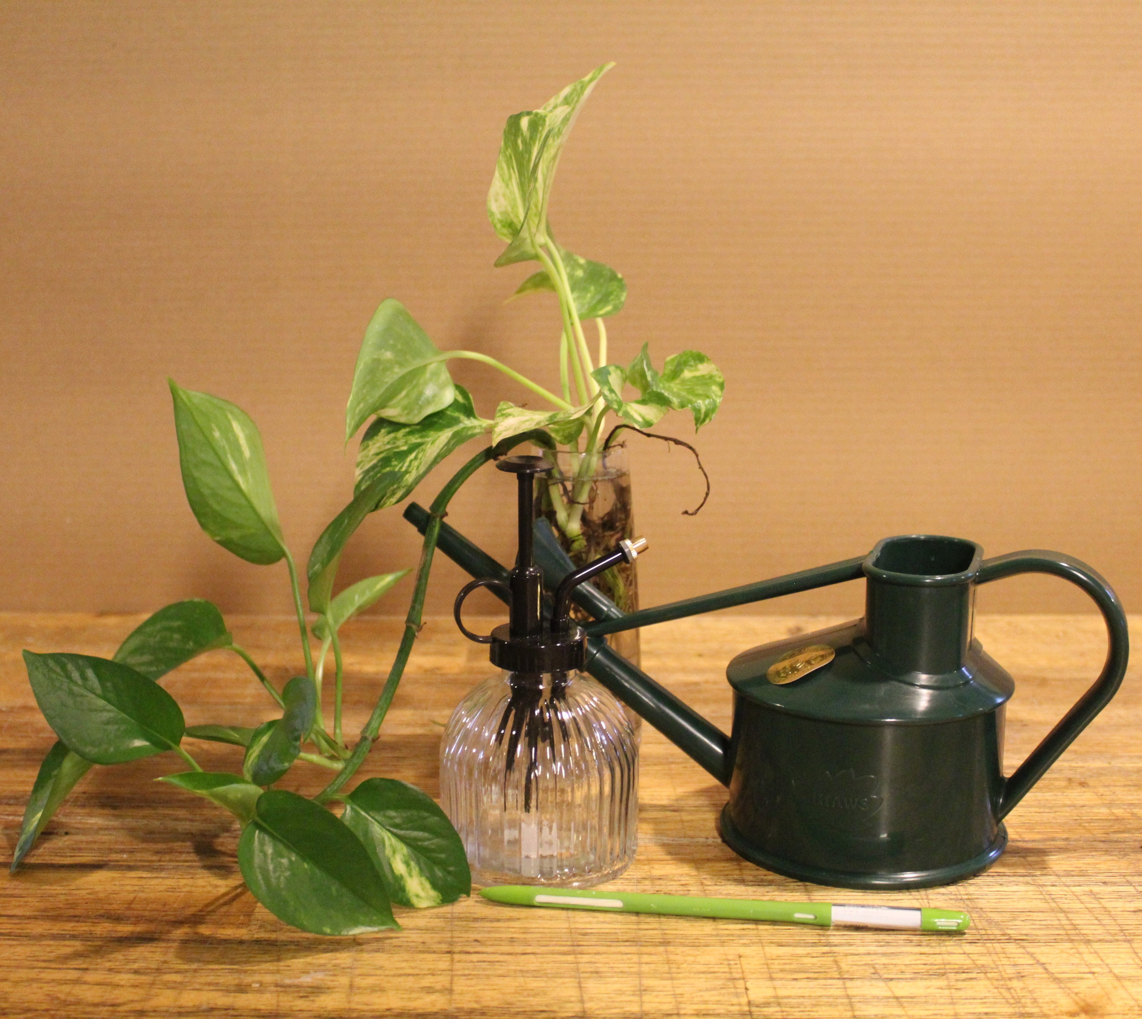 Watering Can & Mist Sprayer Combo - Bosque