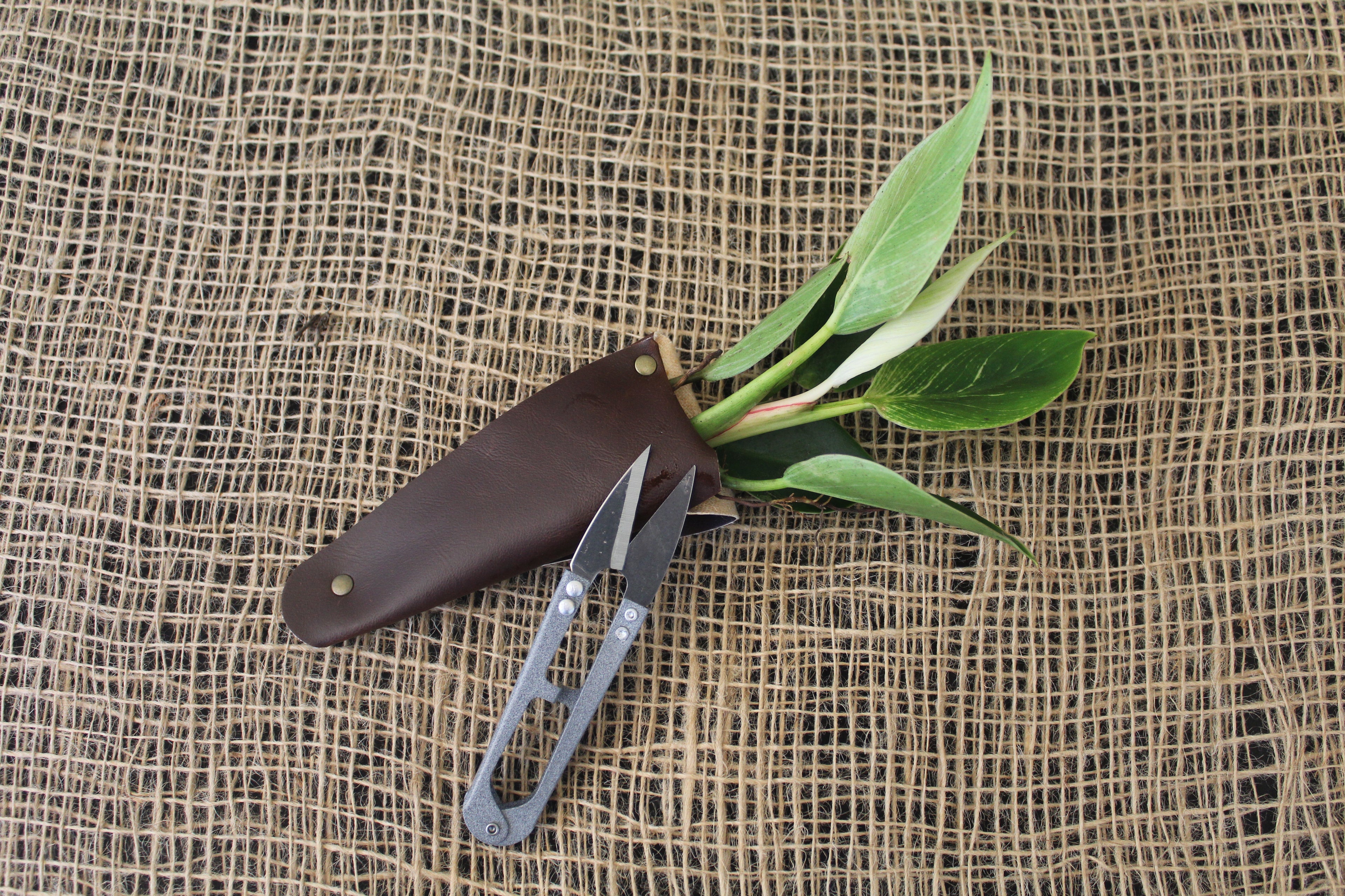 Mini Garden Snips
