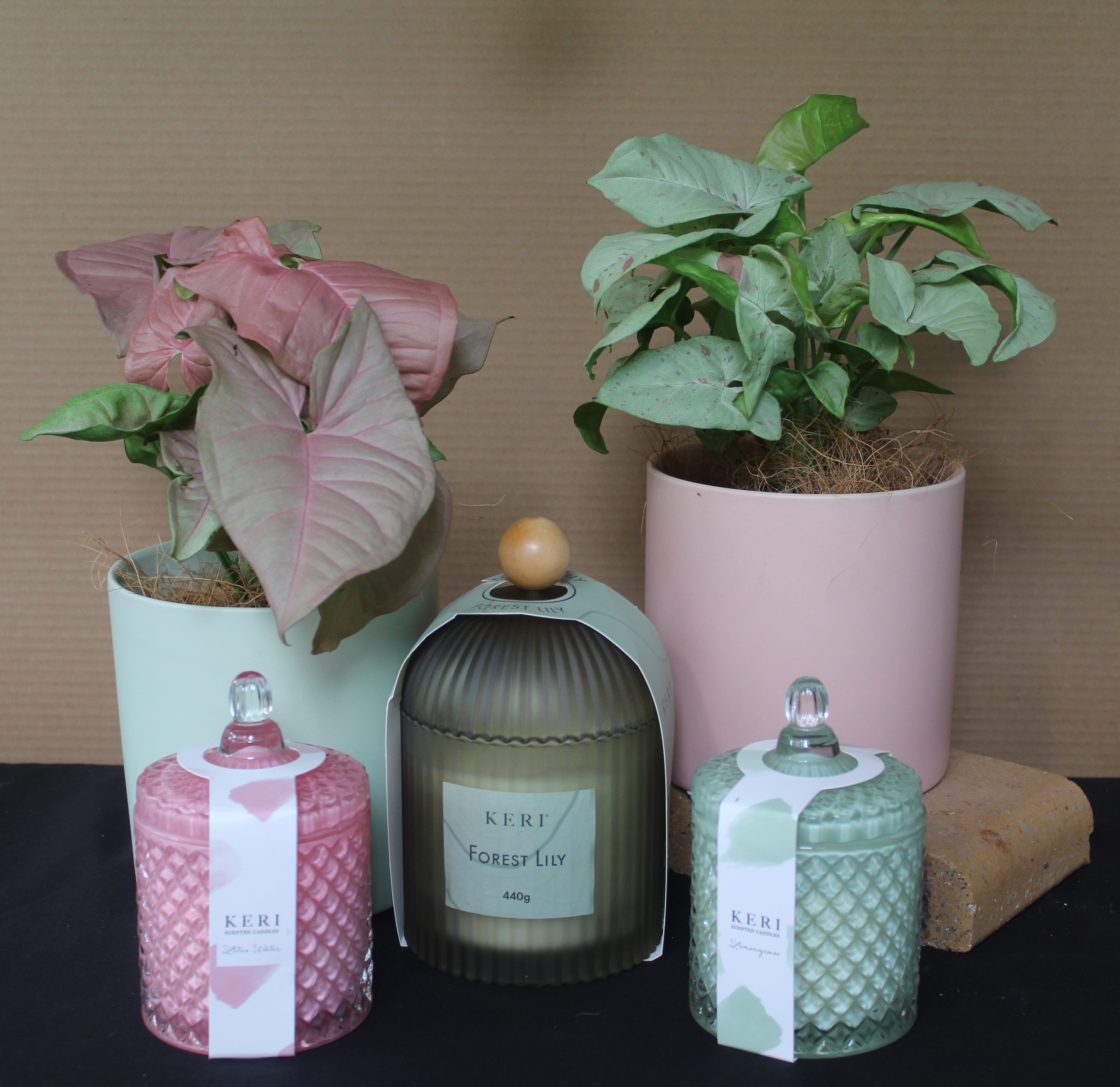 Pink and Green - Bosque