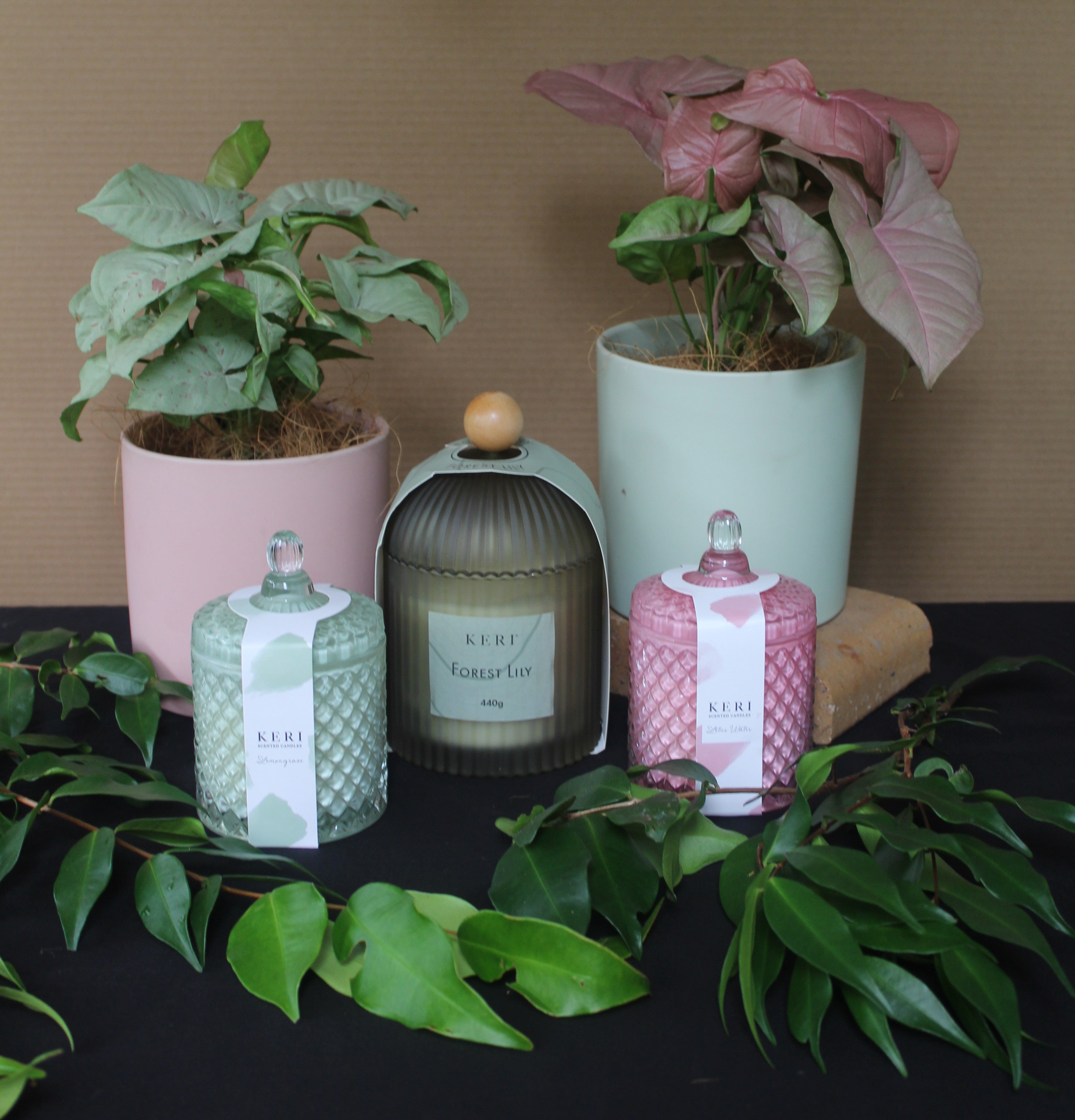 Pink and Green - Bosque