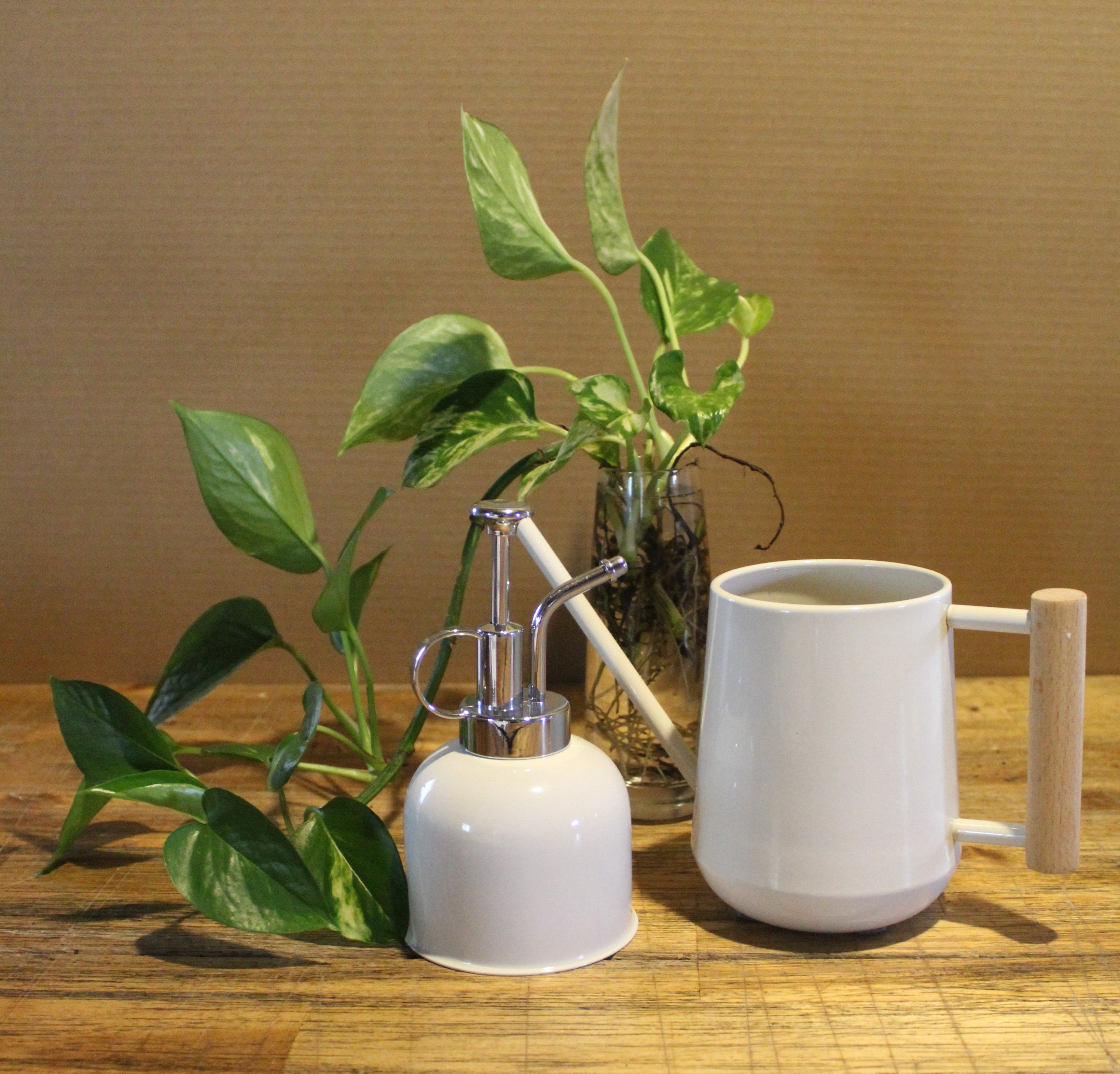 Watering Can & Mist Sprayer Combo - Bosque