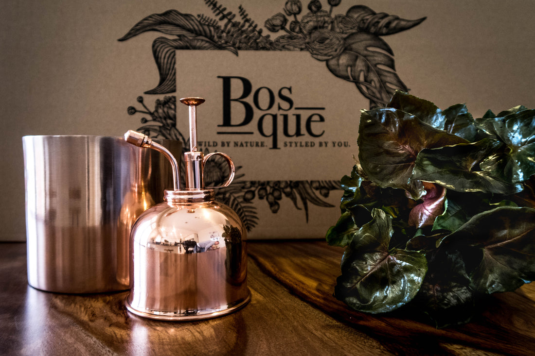 Box of Copper - Plant Gift Box - Bosque