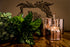 Box of Copper - Plant Gift Box - Bosque