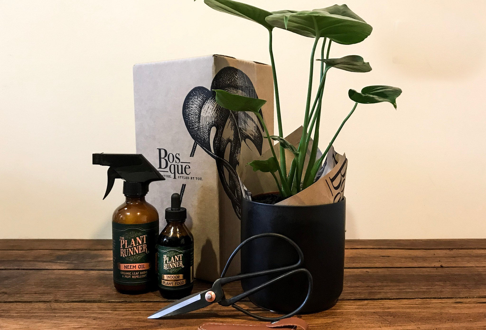 Crafters Box - Bosque
