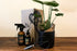 Crafters Box - Bosque