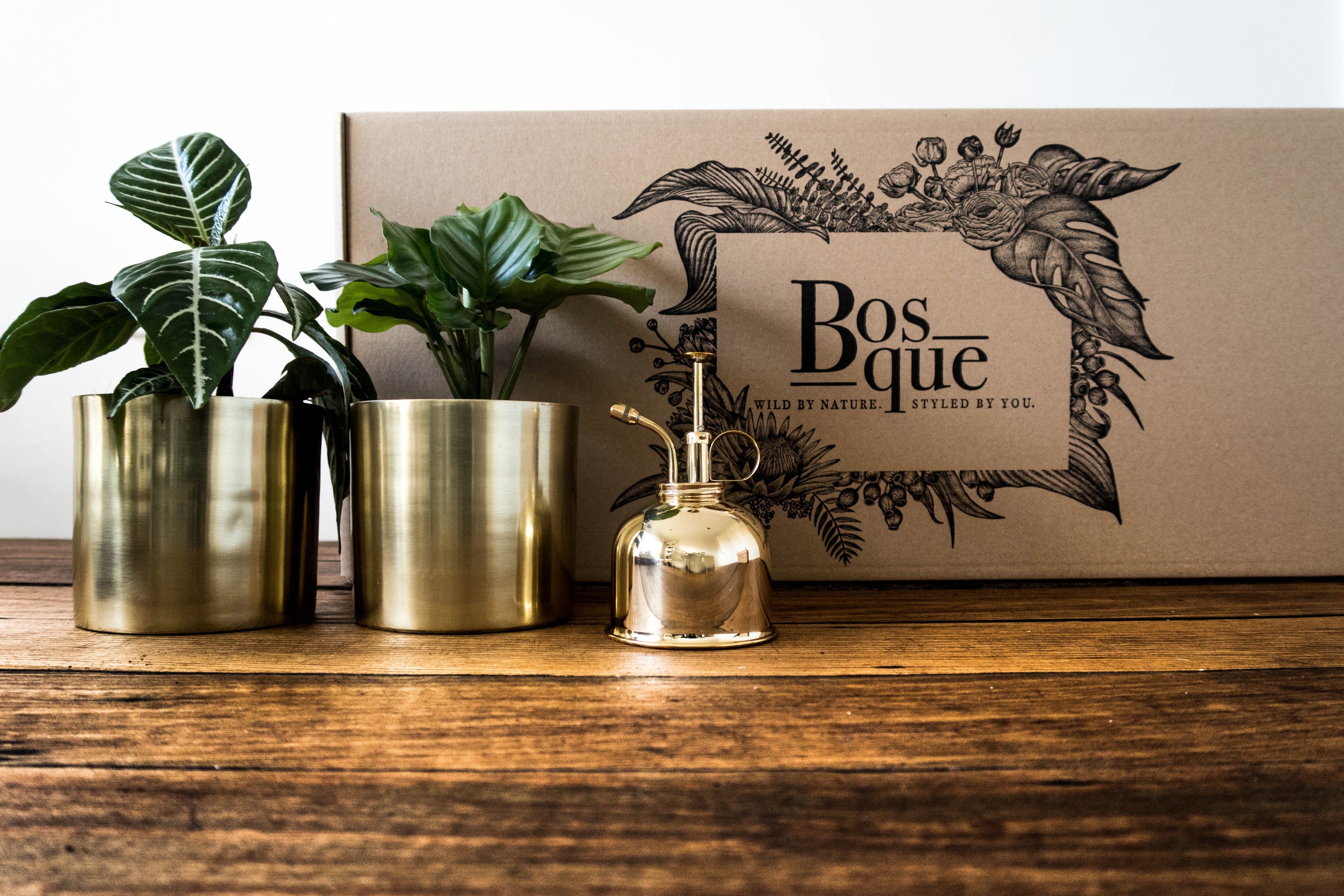 Box of Gold - Plant Gift Box - Bosque