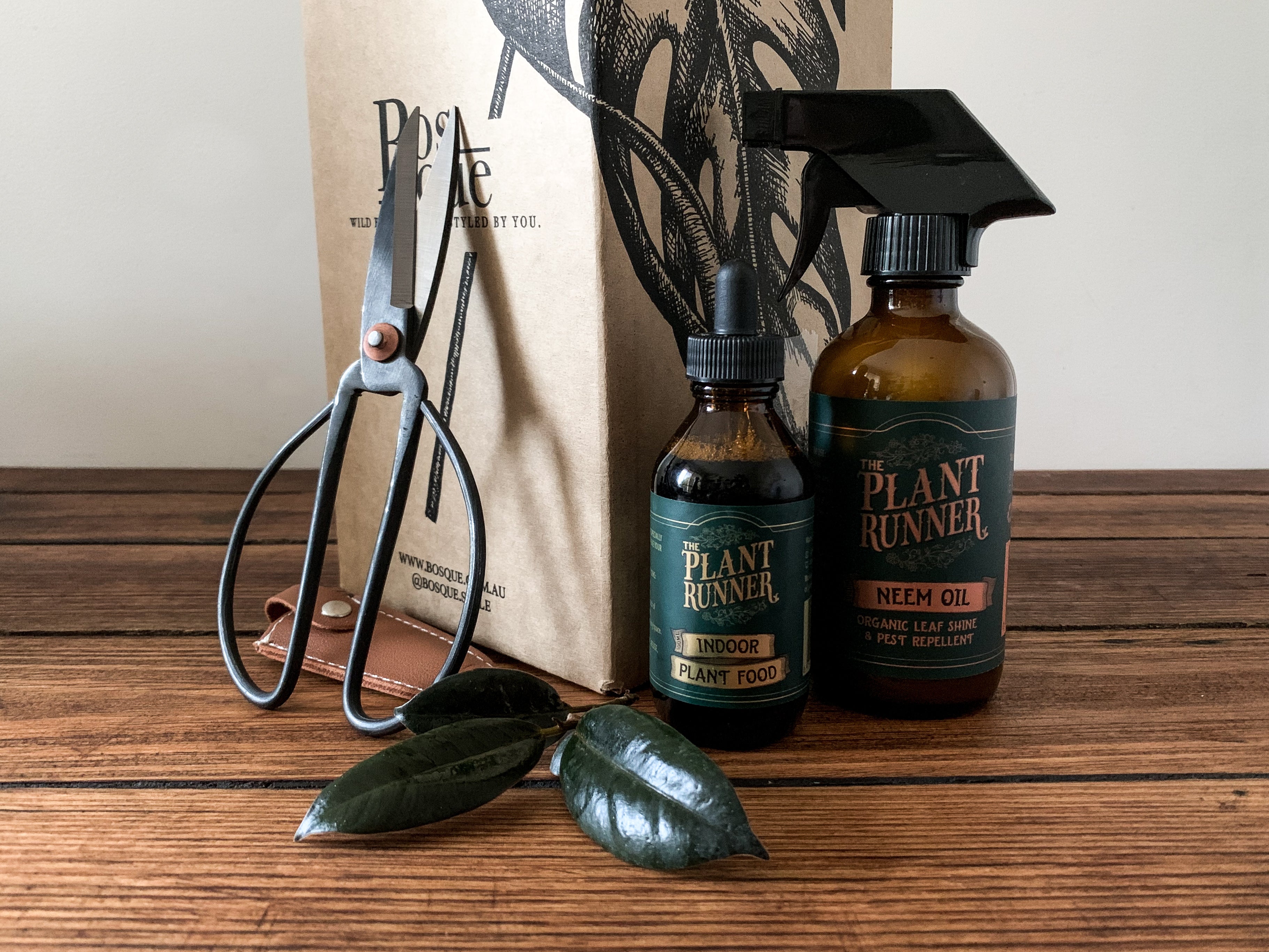 Crafters Box - Bosque