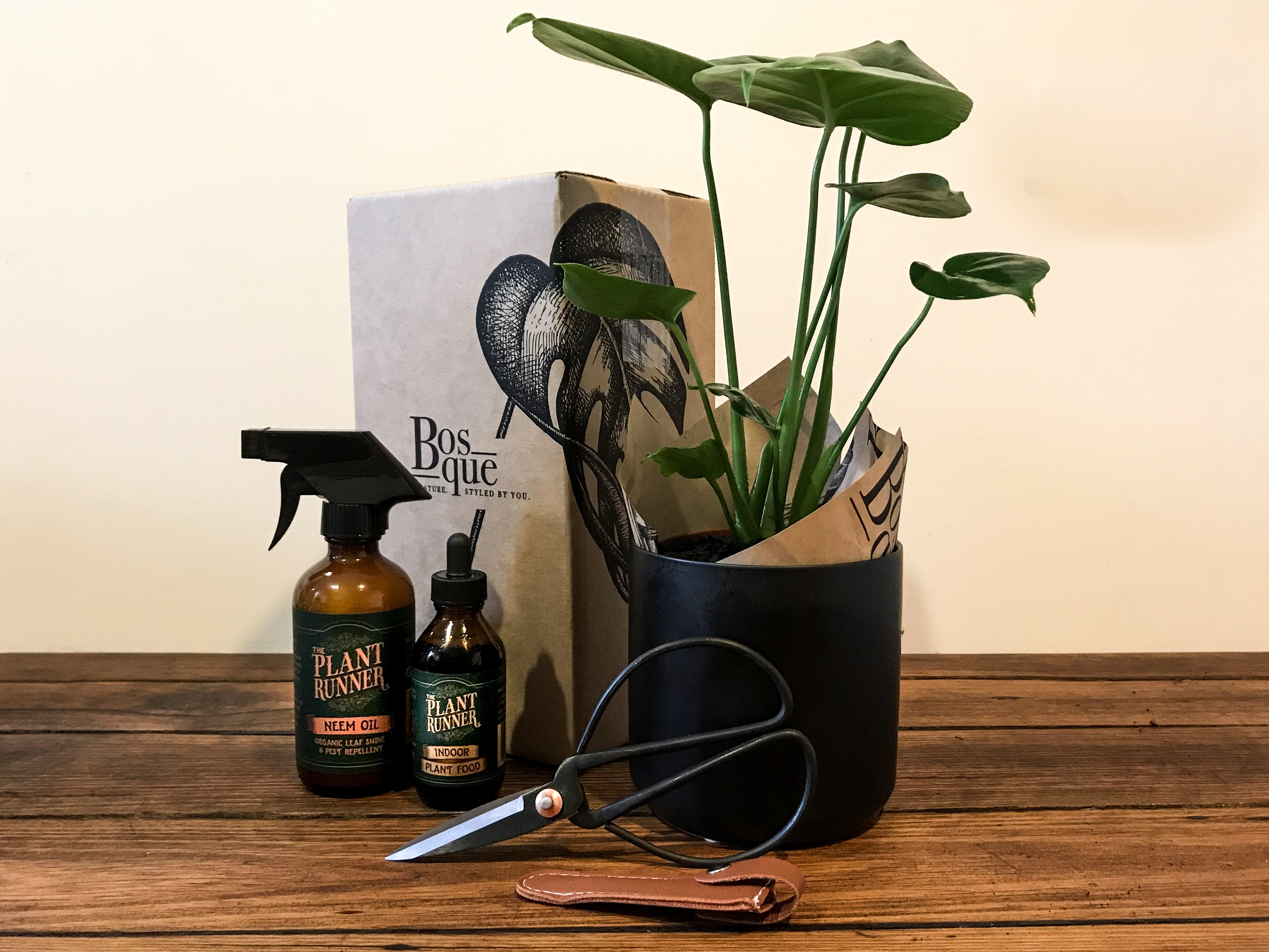 Crafters Box - Bosque