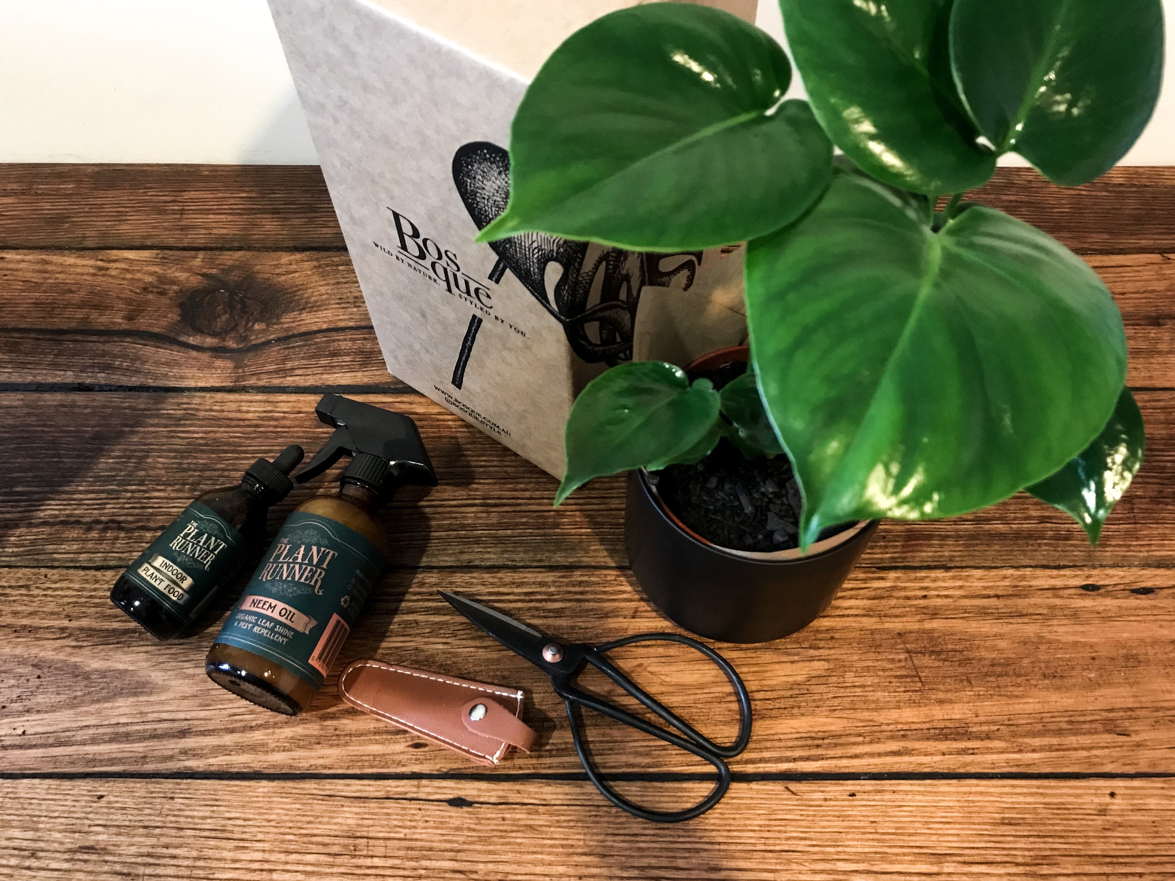 Crafters Box - Bosque