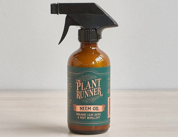 Neem Oil - Organic Leaf Shine - Bosque