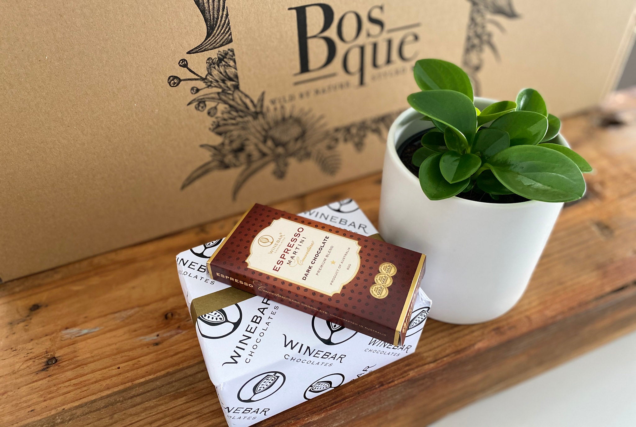 Peperomia - Bosque