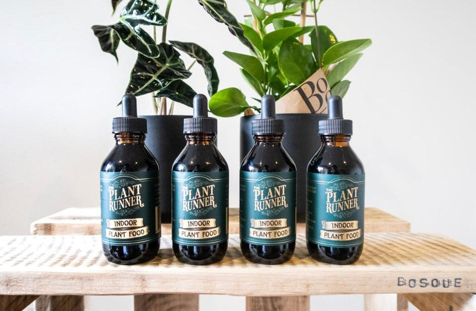 Indoor Plant Food - Bosque