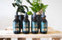Indoor Plant Food - Bosque