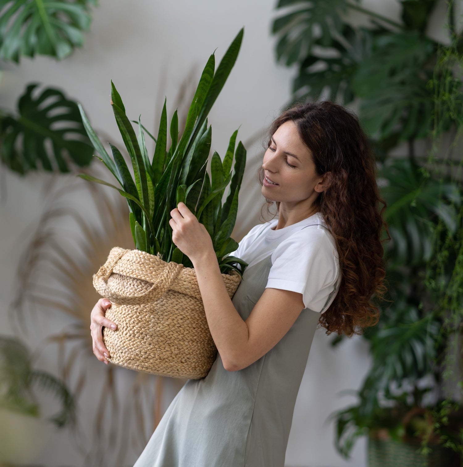 Creating a Plant Care Routine