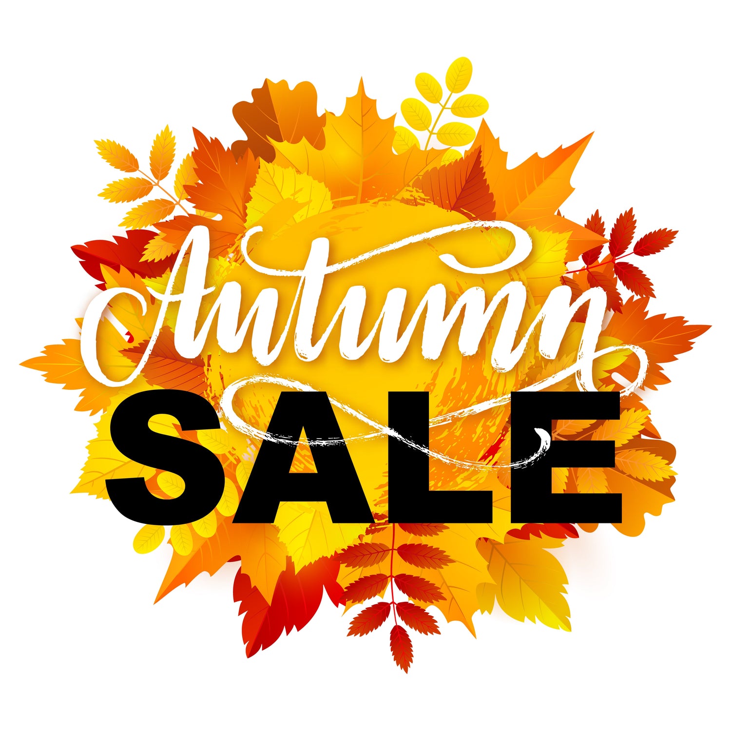 Autumn Sale!