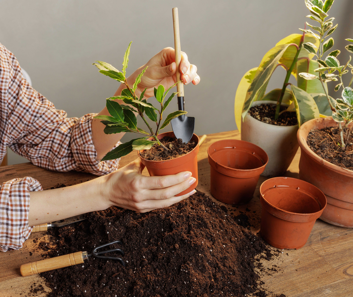 Gardening Tools