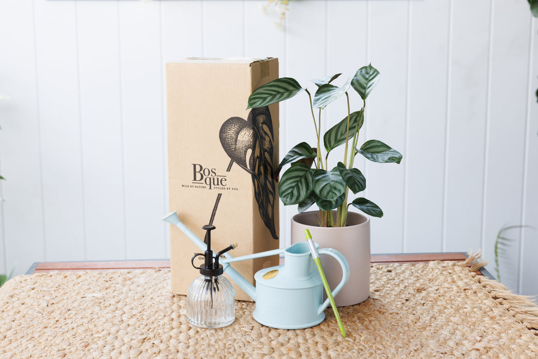 Watering Kit - Bosque 