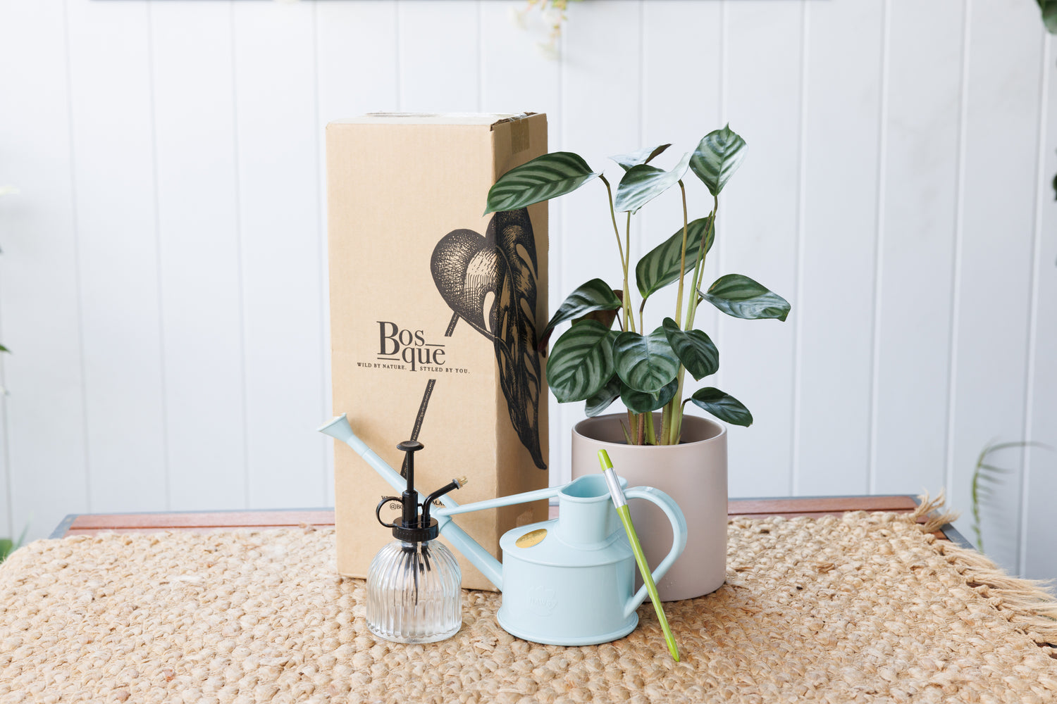 Watering Kit - Bosque 