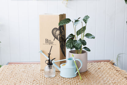 Watering Kit - Bosque 