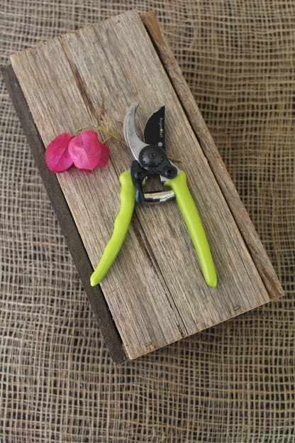 Micro Secateurs