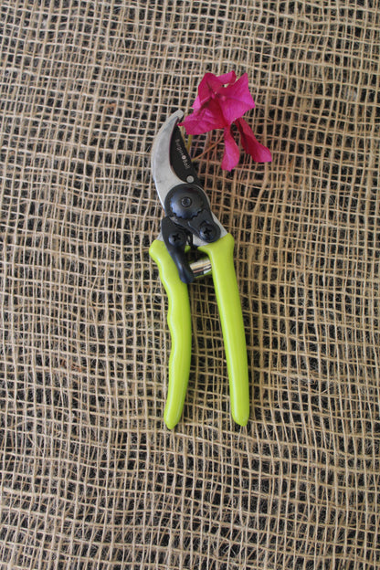 Micro Secateurs