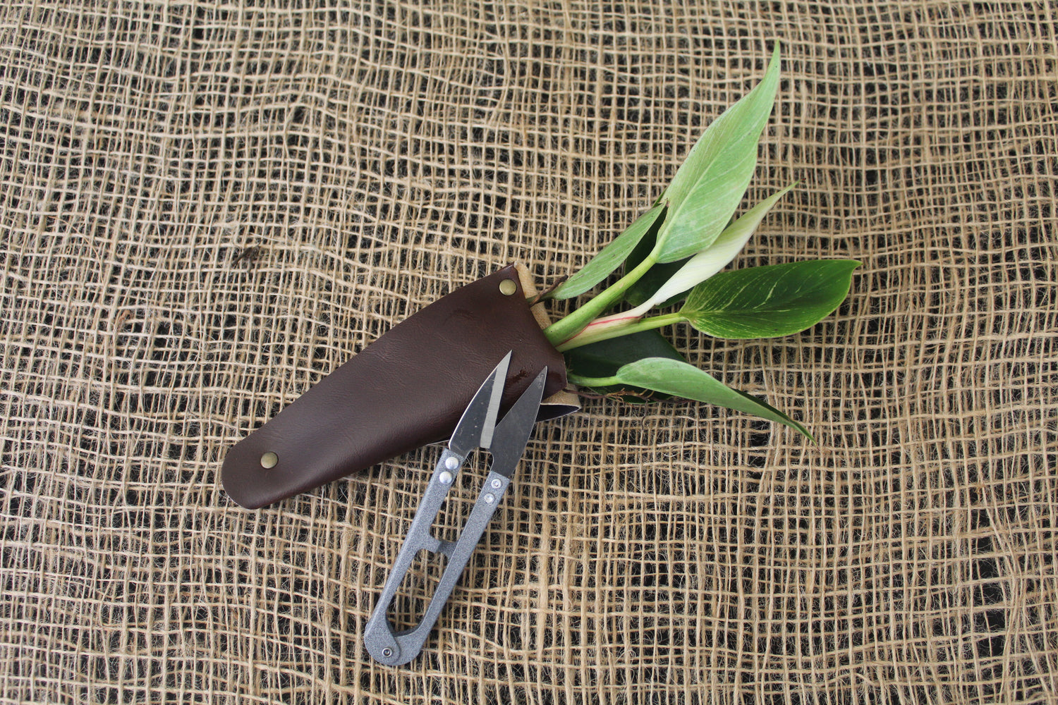 Mini Garden Snips