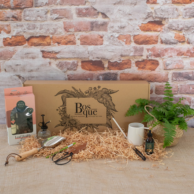 Plant Lover's Accessory Box - Bosque 