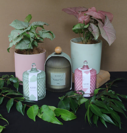 Pink and Green - Bosque 