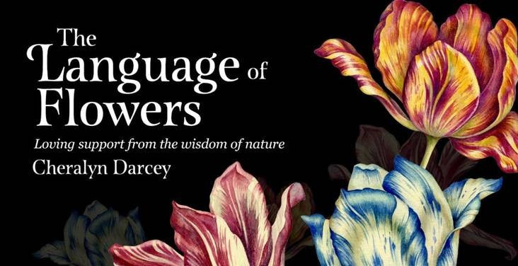 The Language of Flowers Affirmation Cards