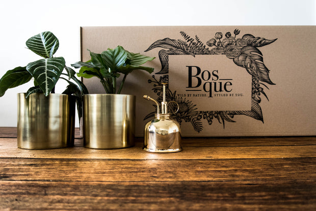 Box of Gold - Plant Gift Box - Bosque 