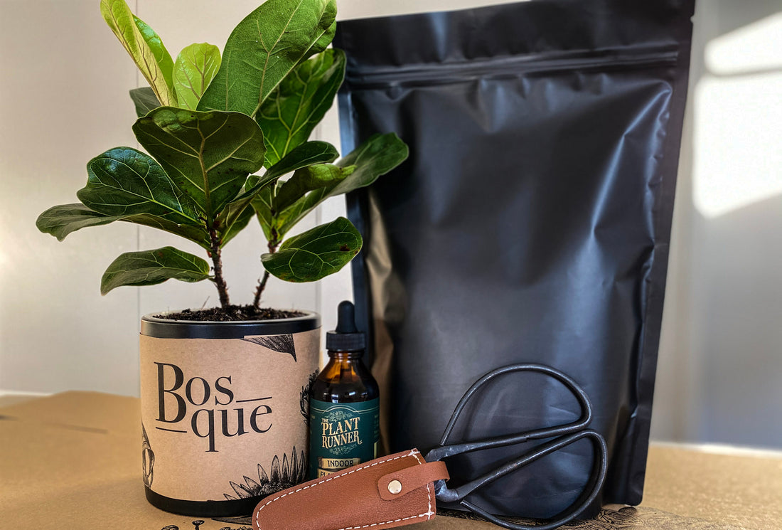 Bosque Growers Box - Bosque