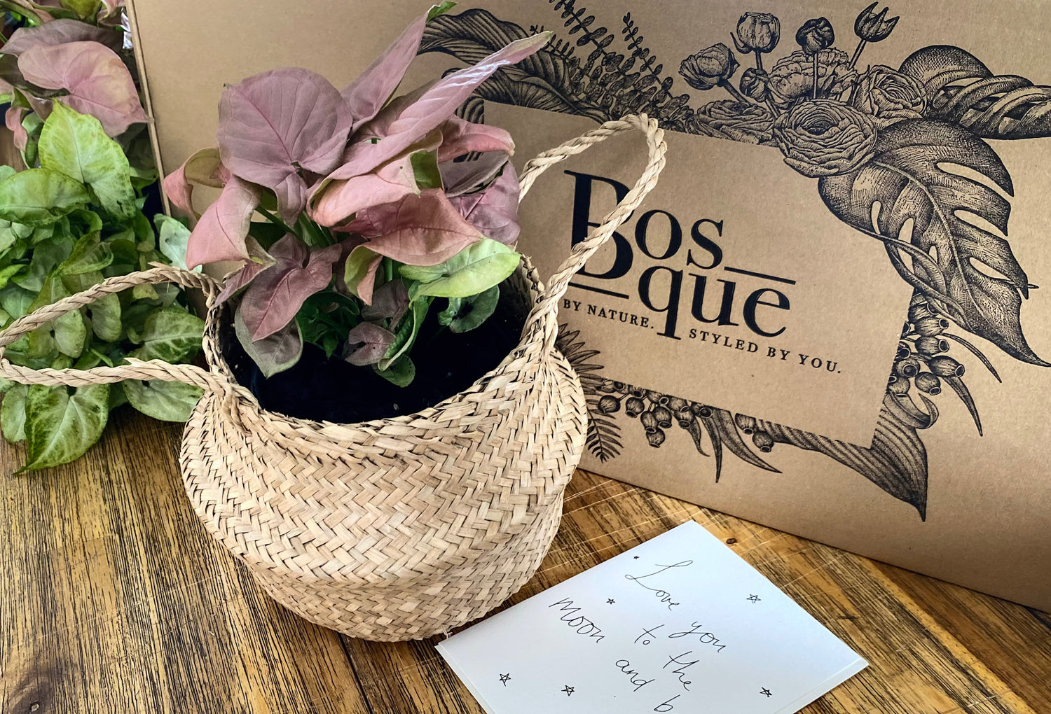 Neon Pink Arrowhead Plant - Bosque 