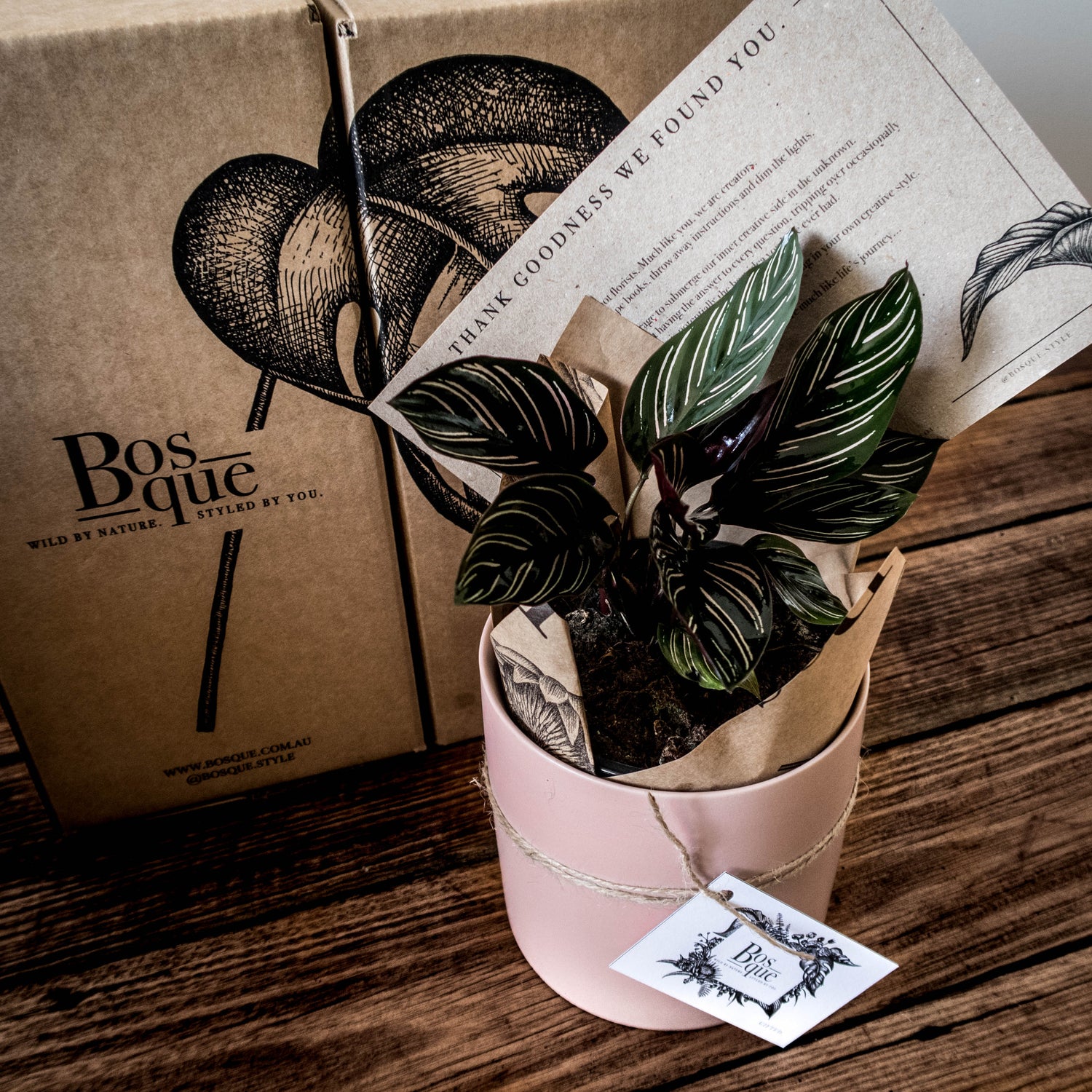 3 Month Plant Subscription - Bosque 