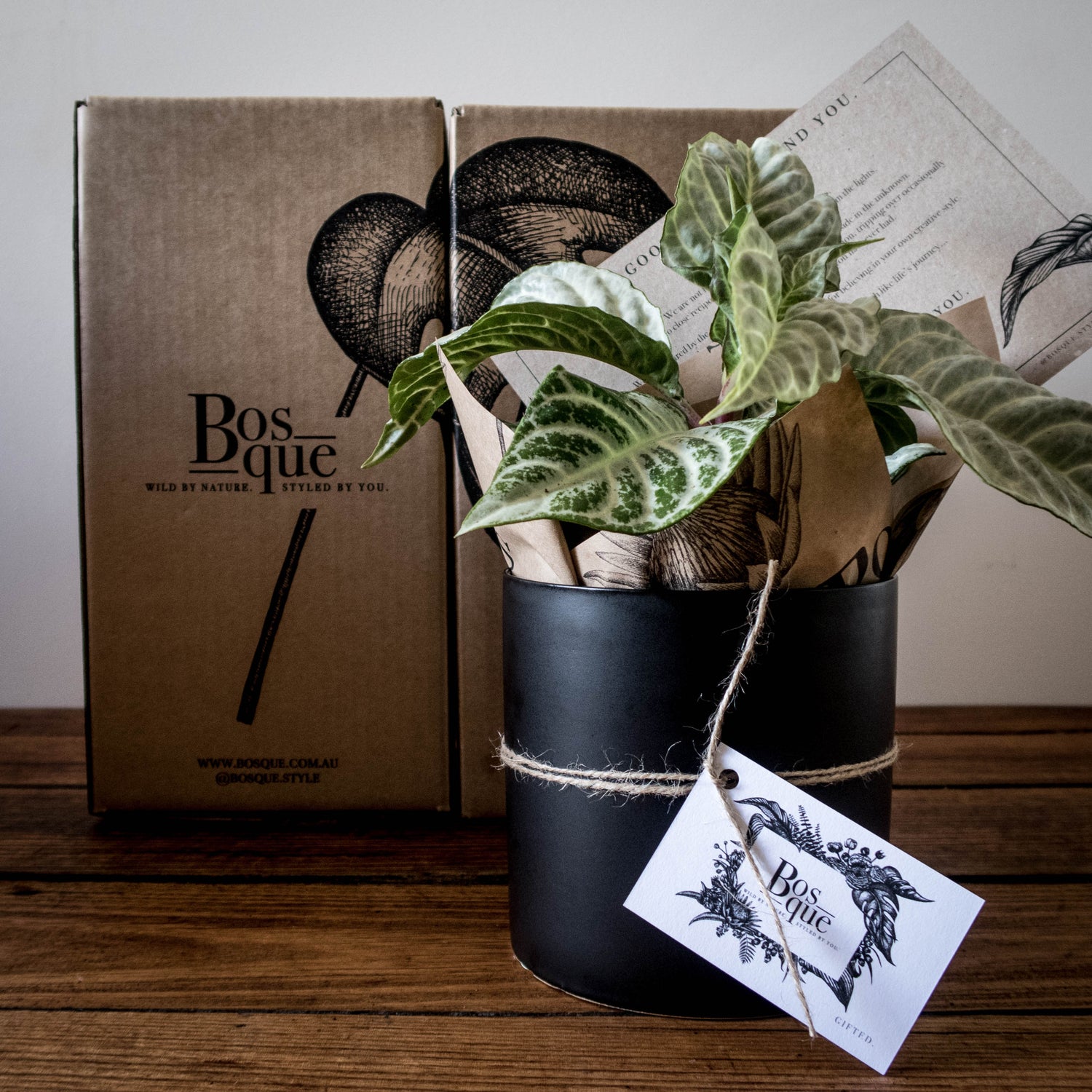 3 Month Plant Subscription - Bosque 